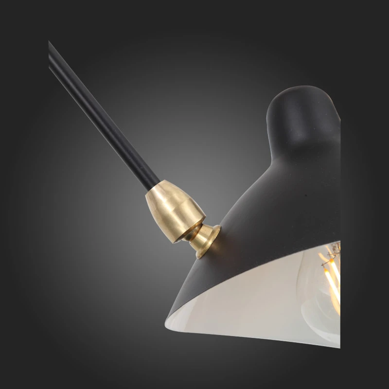 Накладная люстра ST-Luce SL305.402.06