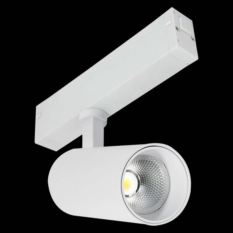 Светильник на шине ST-Luce ST660.596.10