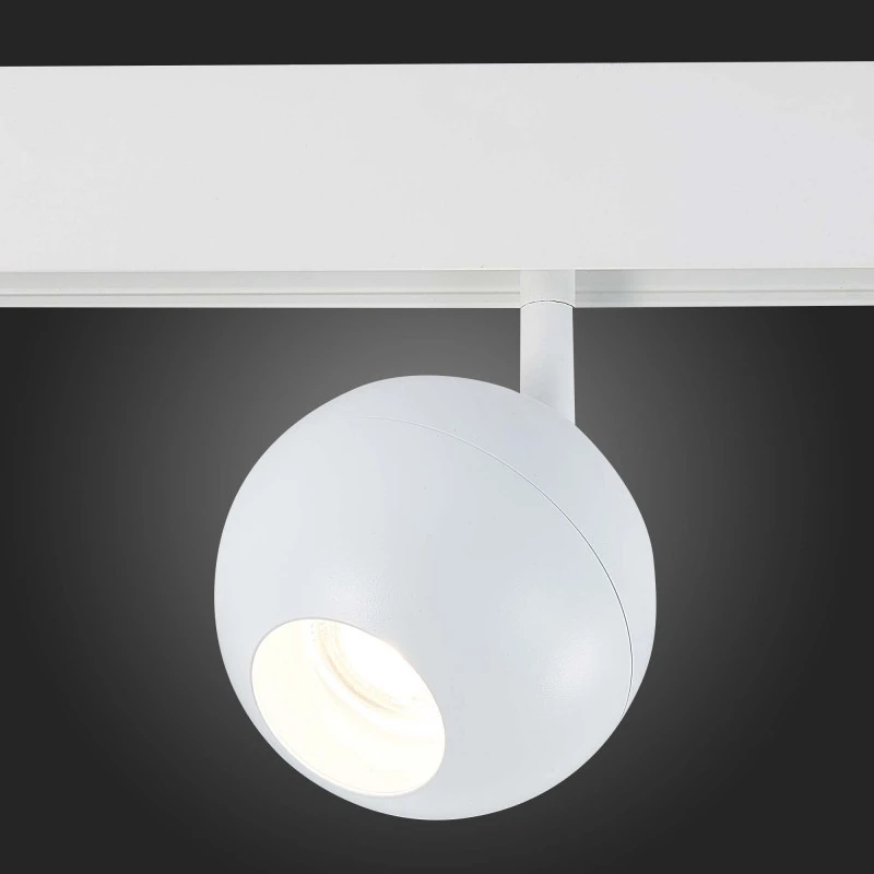 Светильник на шине ST-Luce ST354.546.12