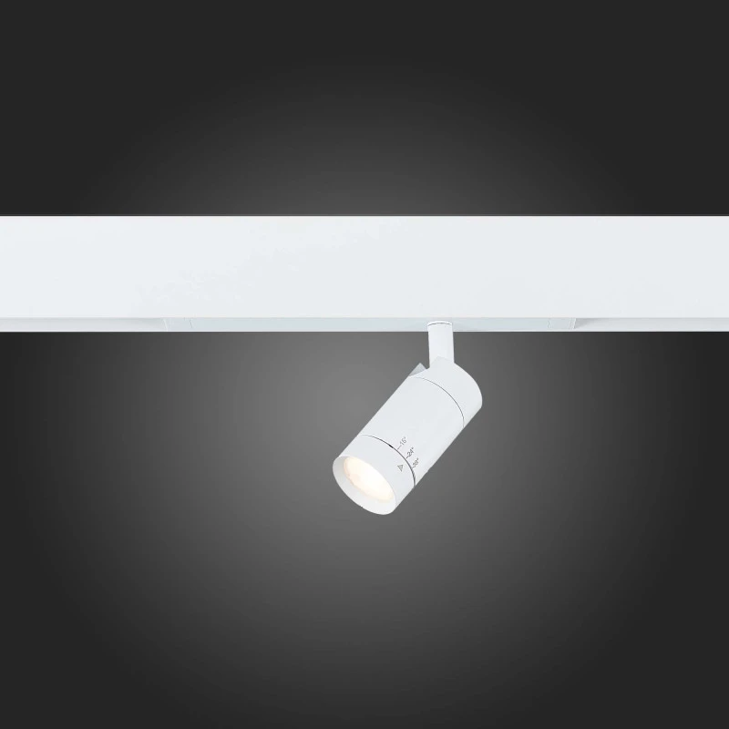 Светильник на шине ST-Luce ST658.596.07