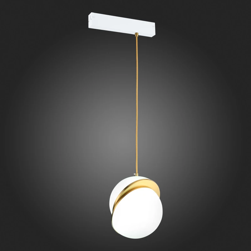 Светильник на шине ST-Luce ST501.303.01