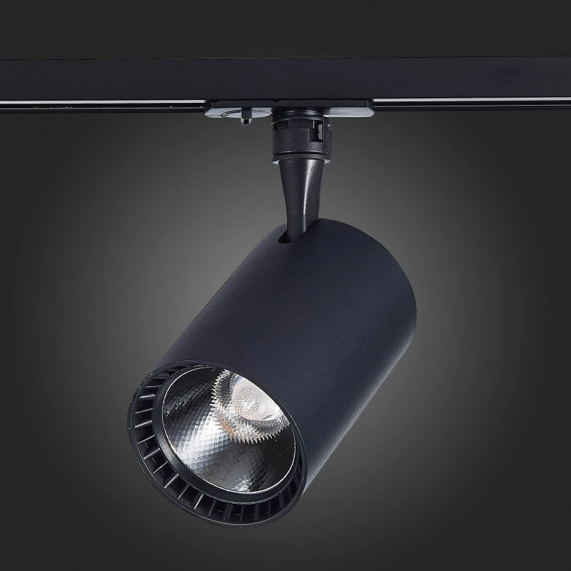 Светильник на шине ST-Luce ST351.436.20.36