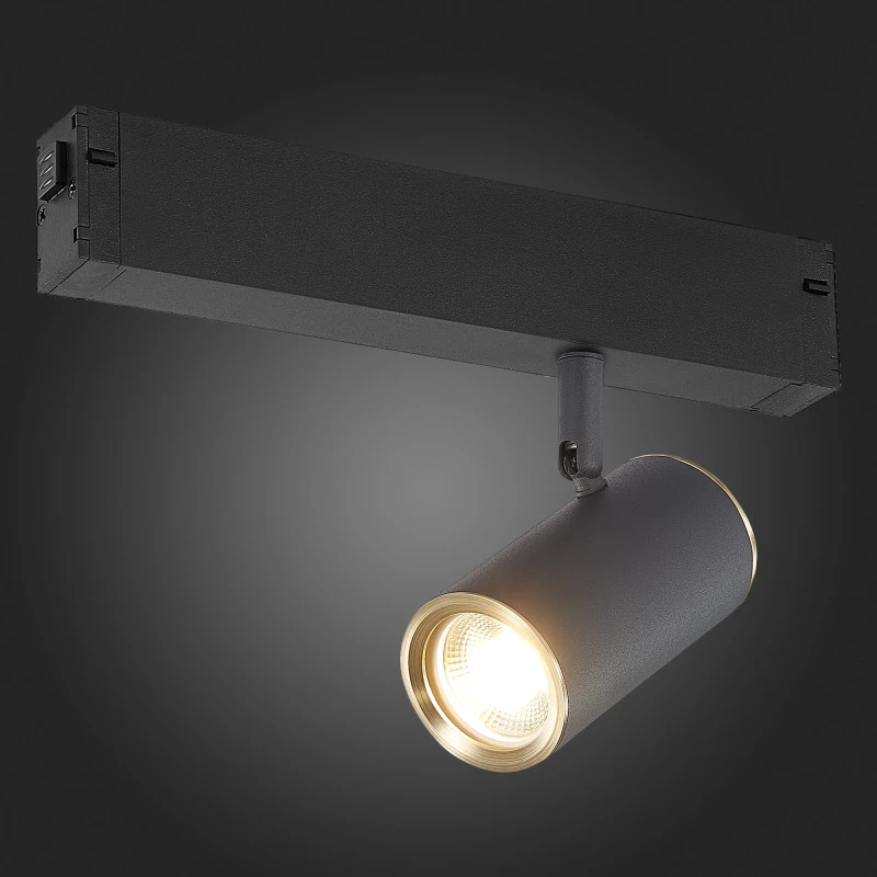 Светильник на шине ST-Luce ST504.436.01