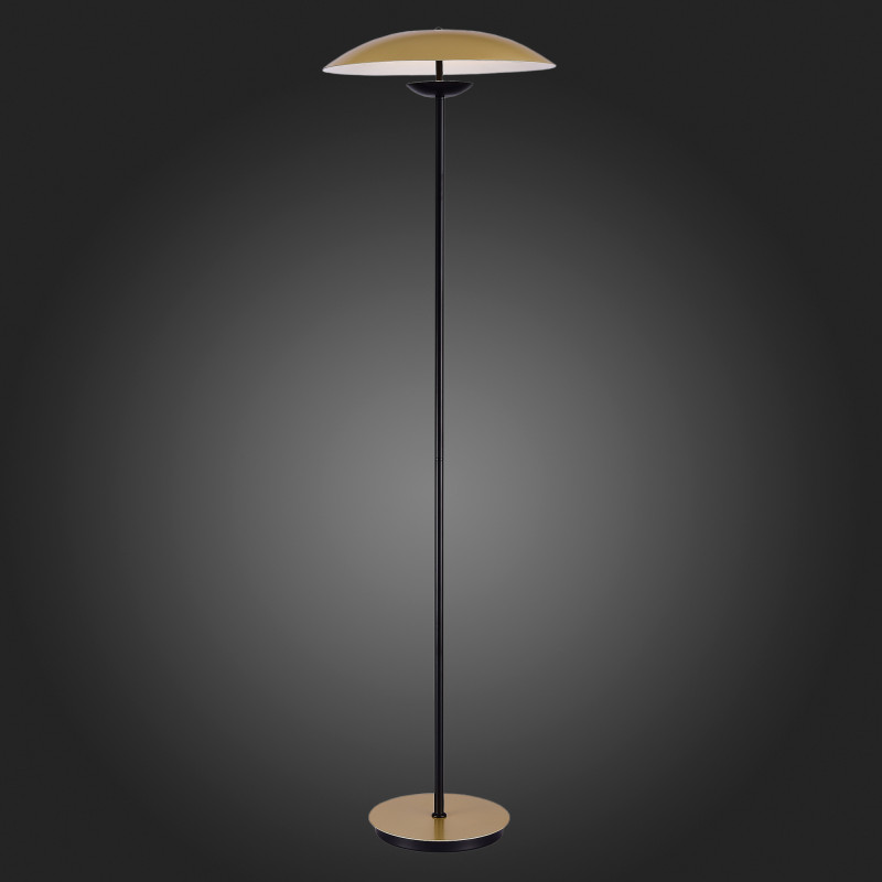 Торшер ST-Luce SL6502.205.01