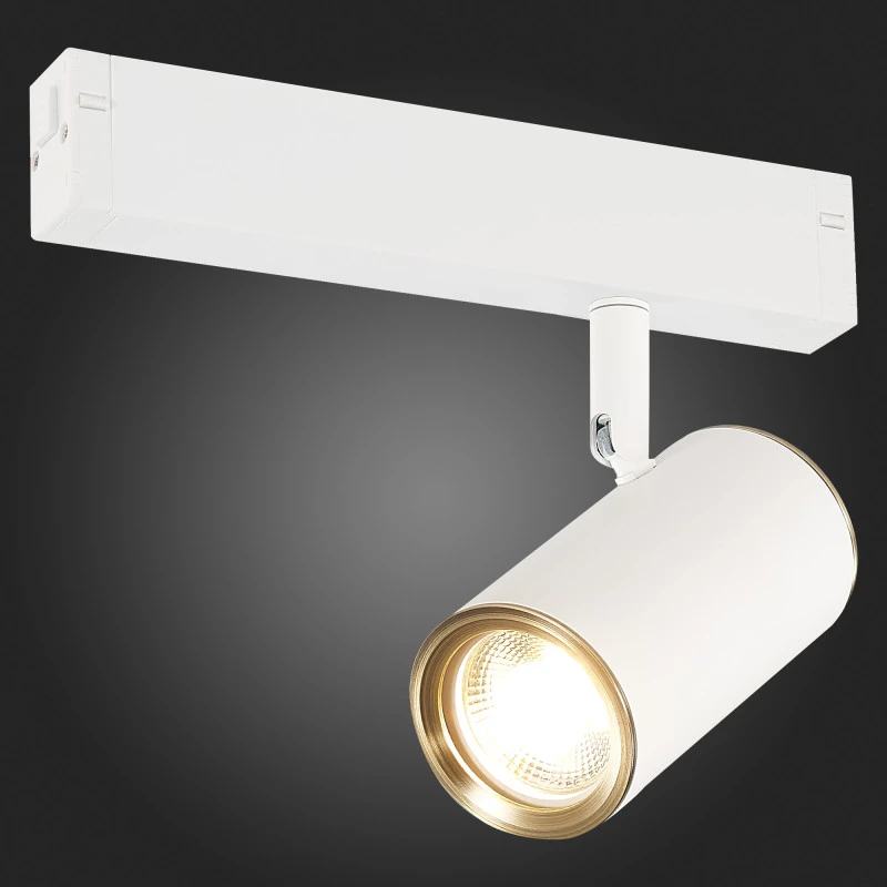 Светильник на шине ST-Luce ST504.536.01