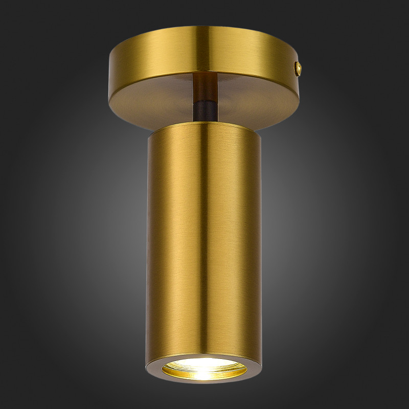 Накладной светильник ST-Luce SL1215.402.01