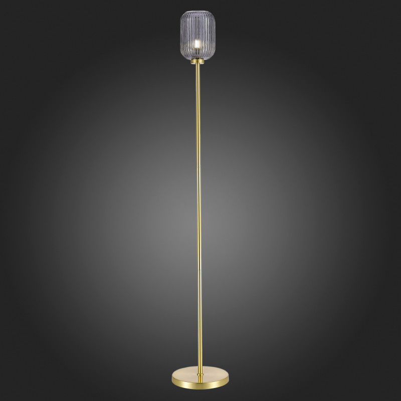 Торшер ST-Luce SL1154.335.01