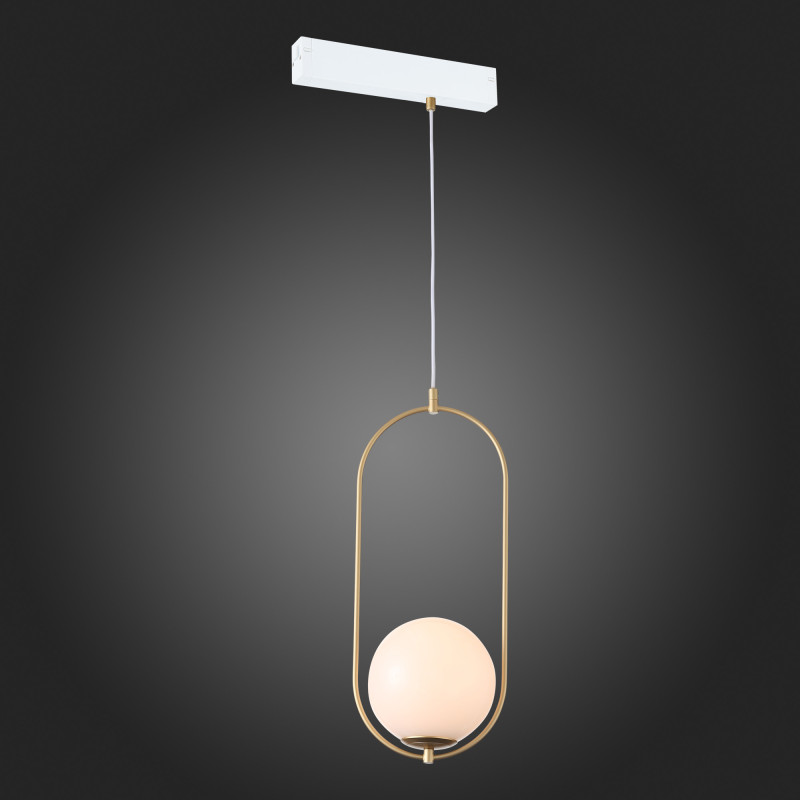 Светильник на шине ST-Luce ST500.203.01