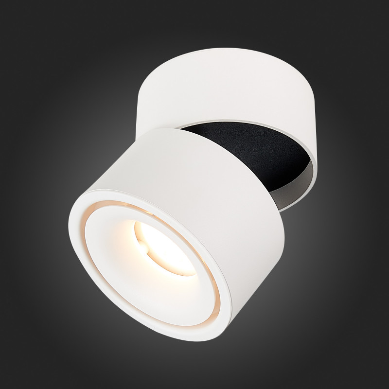 Накладной светильник ST-Luce ST652.542.12