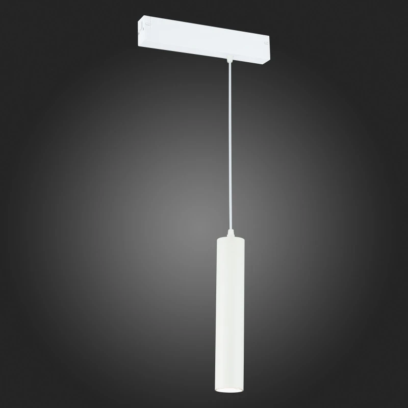 Светильник на шине ST-Luce ST507.503.01