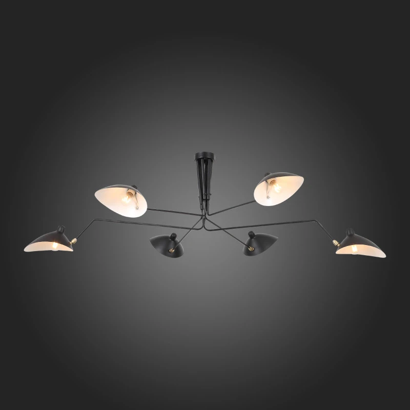 Накладная люстра ST-Luce SL305.402.06