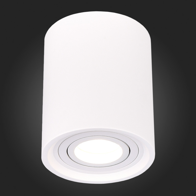 Накладной светильник ST-Luce ST156.502.01