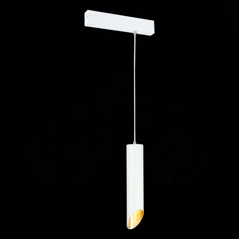 Светильник на шине ST-Luce ST508.503.01