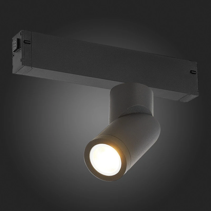 Светильник на шине ST-Luce ST506.402.01